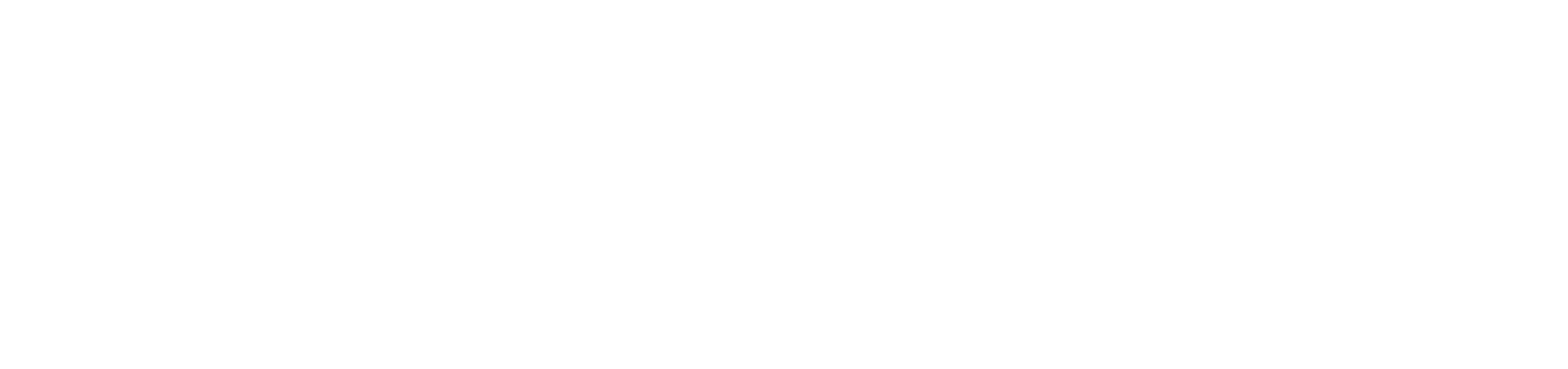AVO GROUP